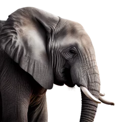 Zelfklevend Fotobehang close up of an elephant © I LOVE PNG