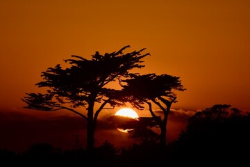 Fototapeta na wymiar Sunset and Silhouette