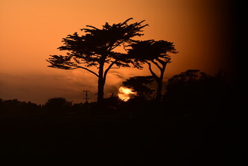 Fototapeta na wymiar Silhouette at Sunset