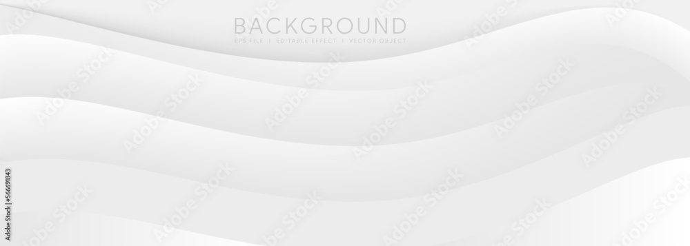 Canvas Prints white abstract backdrop background smooth gray wallpaper