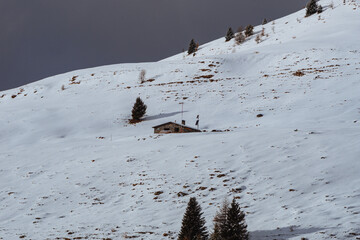 The Valtellina mountains, with its pastures, woods and fresh snow, during a wonderful winter day near the village of Sondrio, Italy - January 2023.