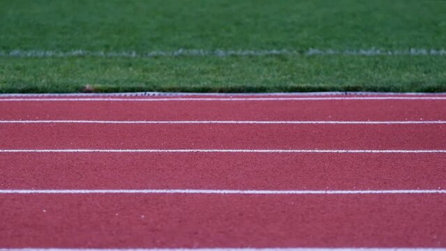 athlete on wheelchair racing riding on stadium track