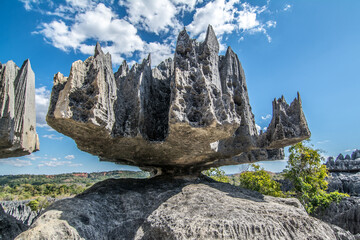 Tsingy de Bemaraha. Grey stones sharp as needles with blue sky in the background.  Reserva natural...