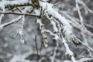 210206Wetterkapriolen