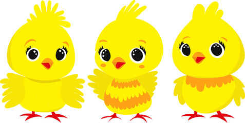 cartoon chicken character set in flat style, vector