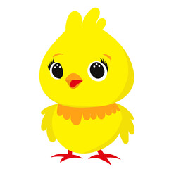 cartoon chicken character in flat style, vector