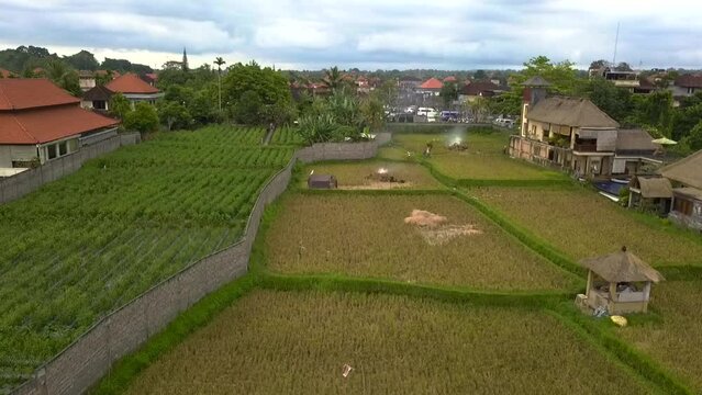 big sky indonesia Bali Ubud town rice field. Beautiful aerial view flight drone