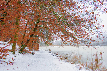 Landscape of a frozen lake on a winter day