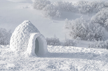 Simpatico igloo in montagna con blocchi di neve