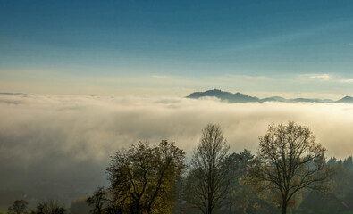 Heavy fog and mist surrounds forested mountain peaks
