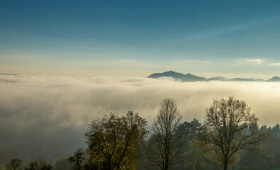 Fototapeta premium Heavy fog and mist surrounds forested mountain peaks 