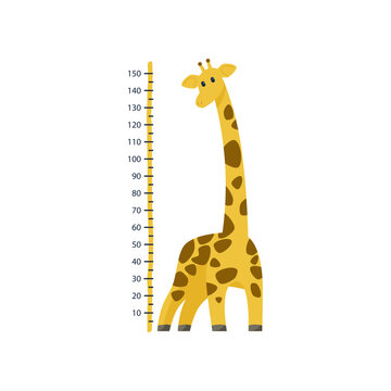 Kid height measure ruler for wall with giraffe illustration. Child growth meter or chart, cute animal cartoon giraffe character isolated on white background. Measurement concept