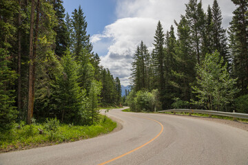 Fototapeta na wymiar Mountain landscape - coniferous forest, beautiful blue sky with clouds. Summer tourism in nature. Banff, Alberta, Canada. Rocky Mountains