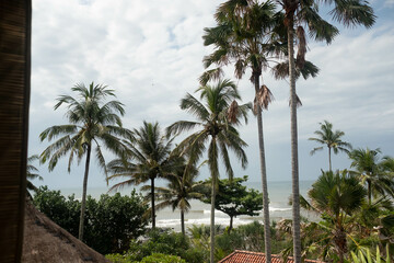 Fototapeta na wymiar palm trees on the beach, Bali