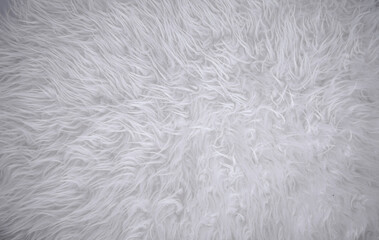 fur texture background