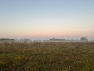 Fototapeta na wymiar morning fog in the field