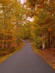 Obraz premium autumn in the park