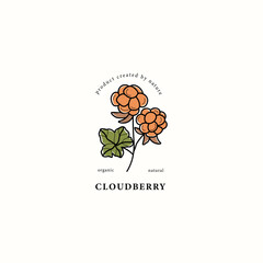 Line art cloudberry branch drawing
