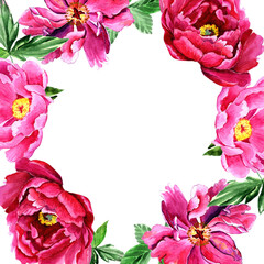 
Watercolor pink peonies in a congratulatory frame.