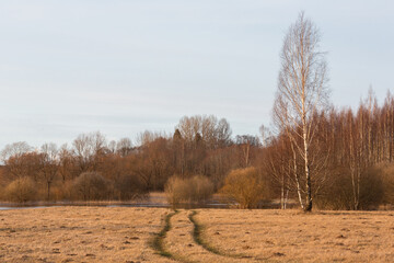 Lake landscapes from a boat in early Baltic spring