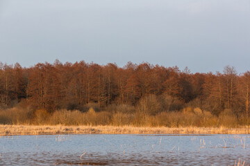 Lake landscapes from a boat in early Baltic spring