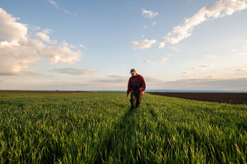 Fototapeta premium Young farmer in wheat fields