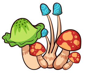 Illustration of various mushrooms.