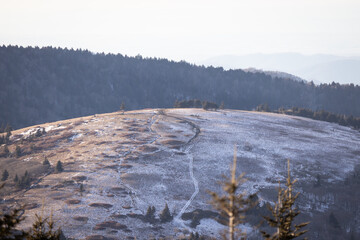 Fototapeta na wymiar Snowy Evening on the Appalachian Trail in the Roan Highlands 