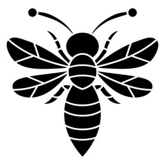 Wasp