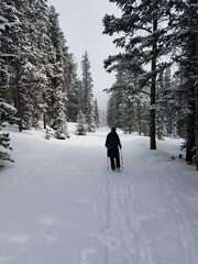 Winter Hike