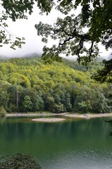 Biograd Lake located in the Biograd National Park at the foot of the mountains - Montenegro 