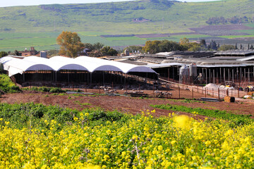 Livestock farm for breeding sheep. Agricultural complex with modern equipment and solar panels in the Low Galilee, Israel