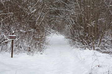 sunny snowy winter day in the countryside with lake