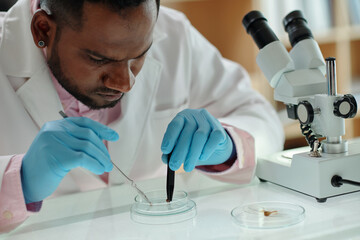 Biology student examining dead insect to figure out cause of its death © DragonImages