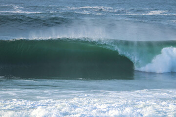 Perfect wave breaking in a beach. Barrel wave