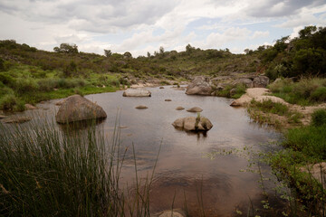 View of the stream flowing across the green meadow in the hills in Trompa de Elefante natural reserve in Cordoba, Argentina.