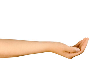 Fototapeta premium The hand is insulated on a white background with space for a copy. Hand palm up, hold something, begging, donation, empty hand. The Beautiful Hand of the White Man