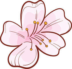 sakura flower