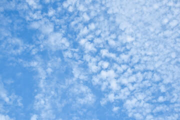 White fluffy patchy clouds on blue sky - obrazy, fototapety, plakaty