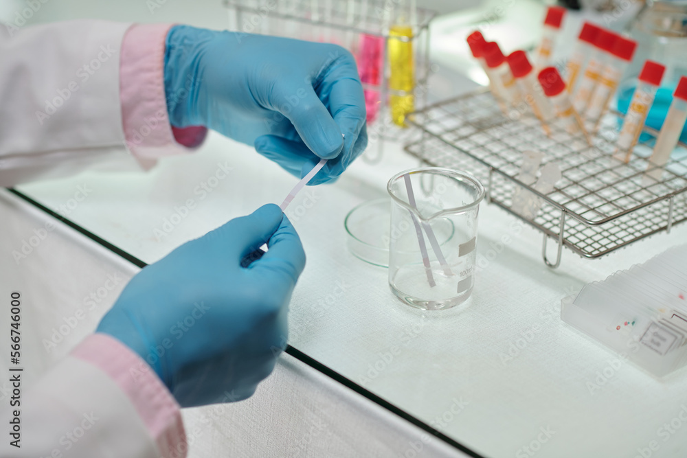 Wall mural hands of scientist in gloves using litmus paper when conducting research