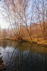 Obraz premium Winter landscape with a quiet river