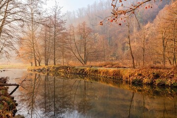 Obraz premium Winter landscape with a quiet river
