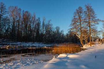 sunny, snowy winter day in the countryside