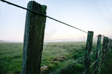 Blue hour New Zealand rural sunrise