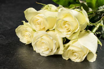 Rose bloom. Natural blooming flower blossom, isolated on the black background. Valentines day cards