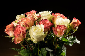 Rose bloom. Natural blooming flower blossom, isolated on the black background. Valentines day cards