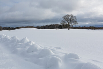 sunny, snowy winter day in the countryside