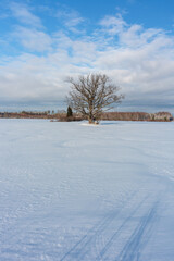 Obraz premium sunny, snowy winter day in the countryside