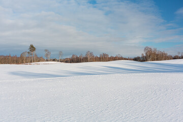 Obraz premium sunny, snowy winter day in the countryside