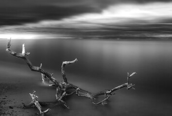 Beautiful black and white sunset picture like a painting of Baltic sea.In the background is smooth sea with a piece of wood(stump).Beautiful sky with clouds.Best for wallpapers,postcards,posters.
